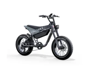 Con la bicicleta electrica HIMIWAY C5 alcanzaras una gran autonomia con su gran capacidad de rendimiento en la cual podras arrasar con todo tipo de terreno. Su alta durabilidad se hace perfecta para tus dias largos de conduccion.