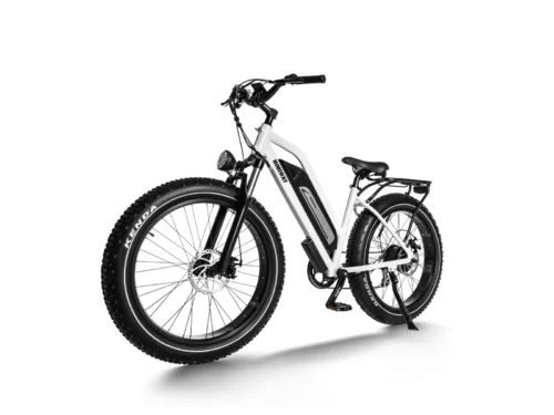 Una bicicleta eléctrica Himiway D3 Cruiser con neumáticos anchos y un diseño resistente, ideal para todo tipo de terrenos. Su batería de litio de alta capacidad y motor potente garantizan un rendimiento excepcional, con asistencia de pedaleo ajustable para una conducción cómoda y eficiente. Perfecta para la aventura y la movilidad urbana.