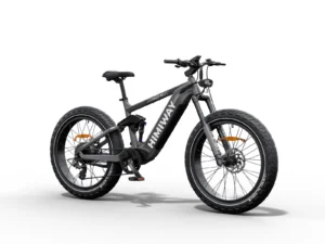 bici eléctrica