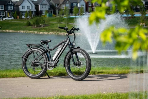Himiway D3 (CRUISER) - Imagen 8