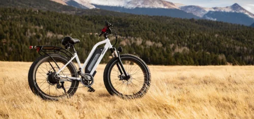 Himiway D3 (CRUISER) - Imagen 9