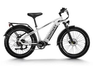 Himiway Zebra D5 blanca con barra