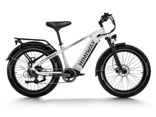 Himiway Zebra (D5) - Imagen 2