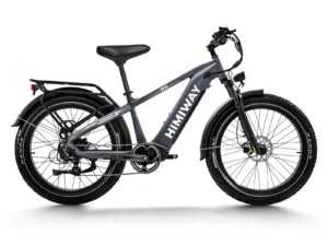 Bici eléctrica