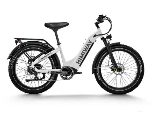 Himiway Zebra (D5) - Imagen 5